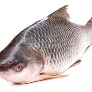 Fresh Rui Fish (Rohu