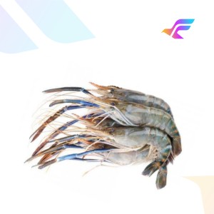 Freshwater Giant Prawn (River Prawn / Scampi)