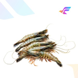 Fresh White Shrimp (Vannamei Prawn)