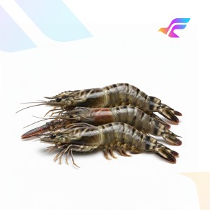 Tiger Prawn (Fresh Shrimp)