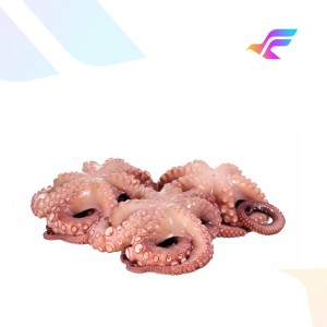 Fresh Octopus