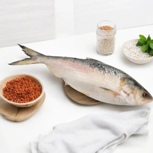 Fresh River Hilsa Fish (Ilish Mach)