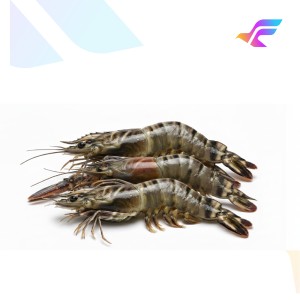 Black Tiger Prawn (Fresh Tiger Shrimp)